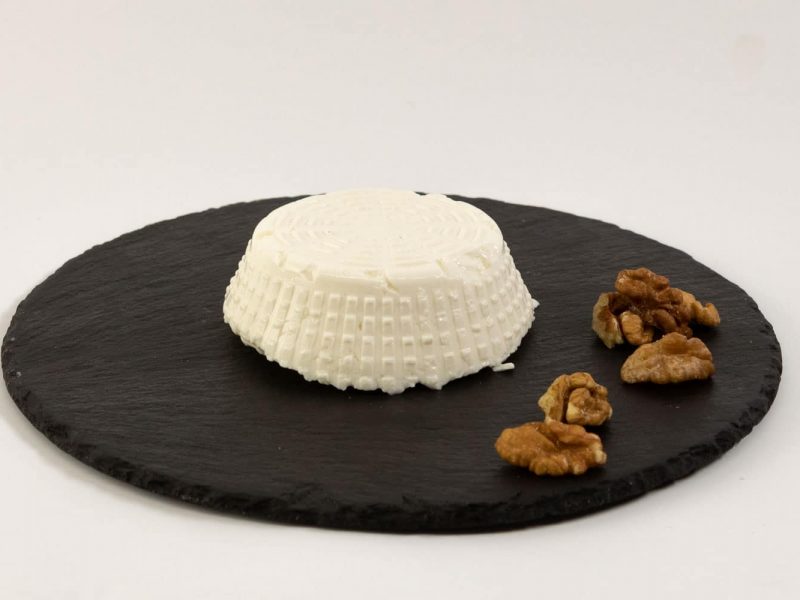 Reblec dell'Agrifoglio